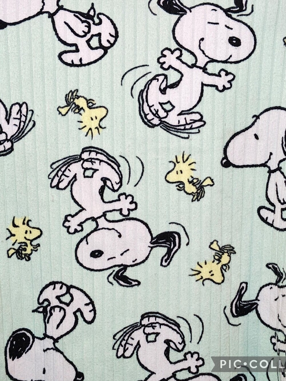 🐶Peanuts Snoopy & Woodstock Ribbed 2-Piece Short Sleeve and Jogger Pajama Set🐶 - Picture 3 of 8